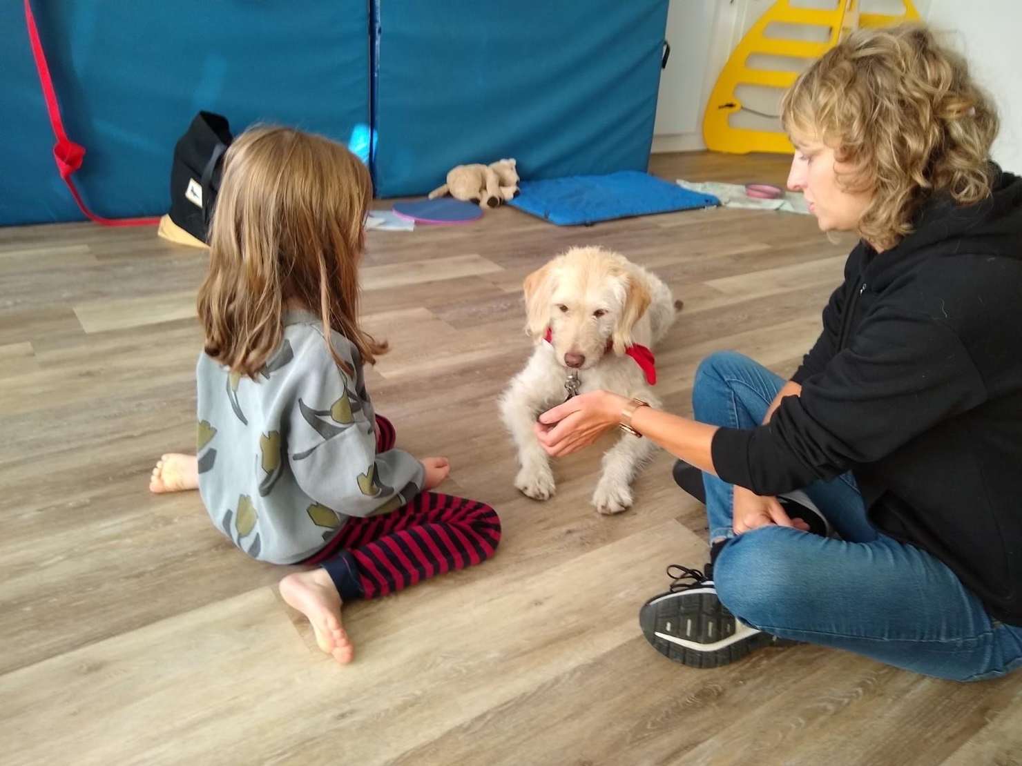 Tiergestützte Pädagogik mit Hund