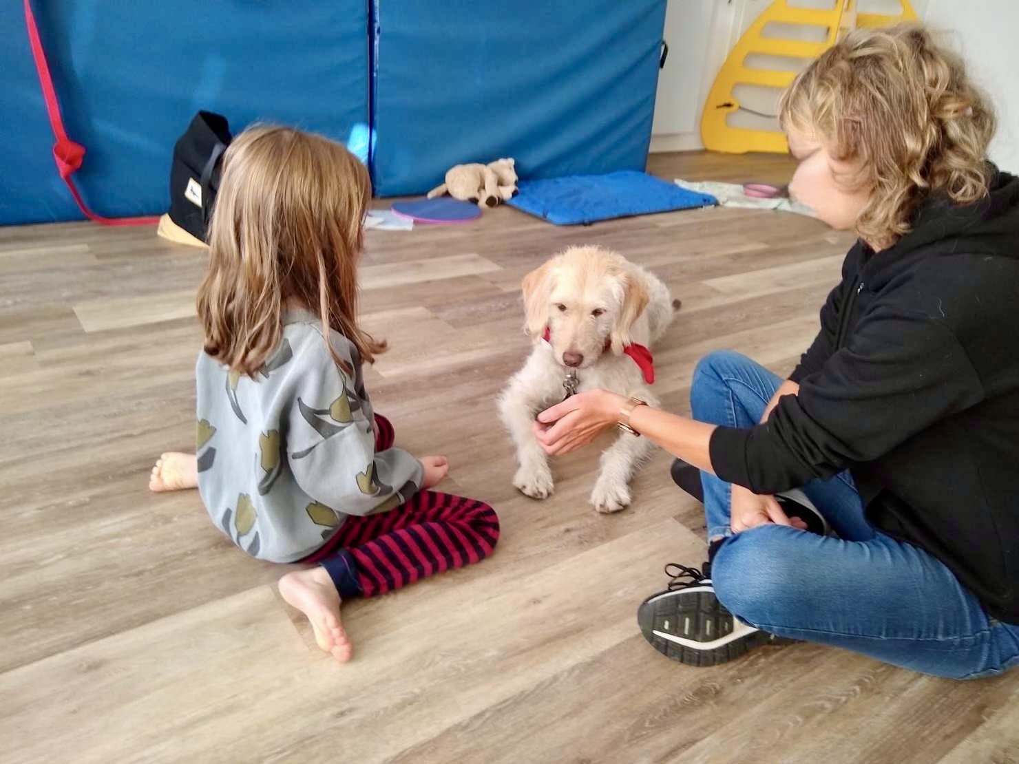 Tiergestützte Pädagogik mit Hund