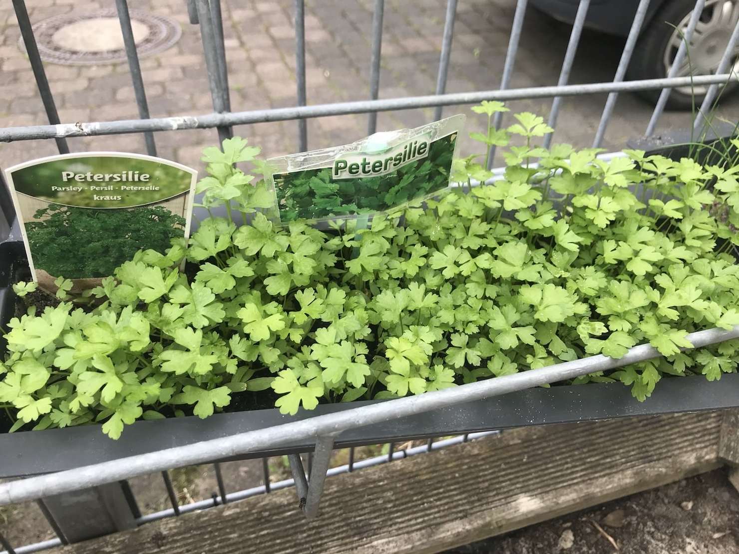 Kinder beim Naturerleben im Freien